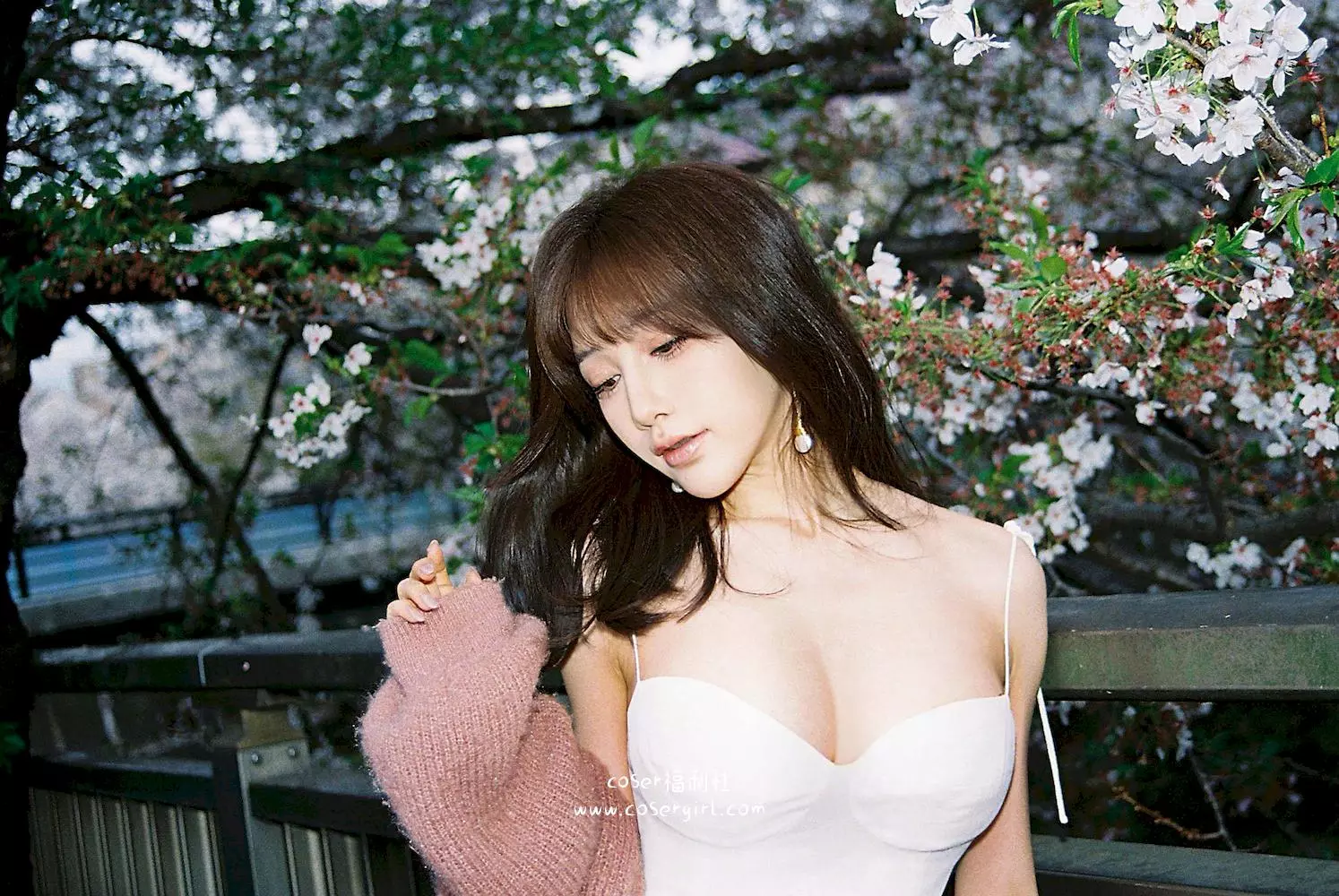 图片[3]-桜が満開：水淼Aqua的春日浪漫写真