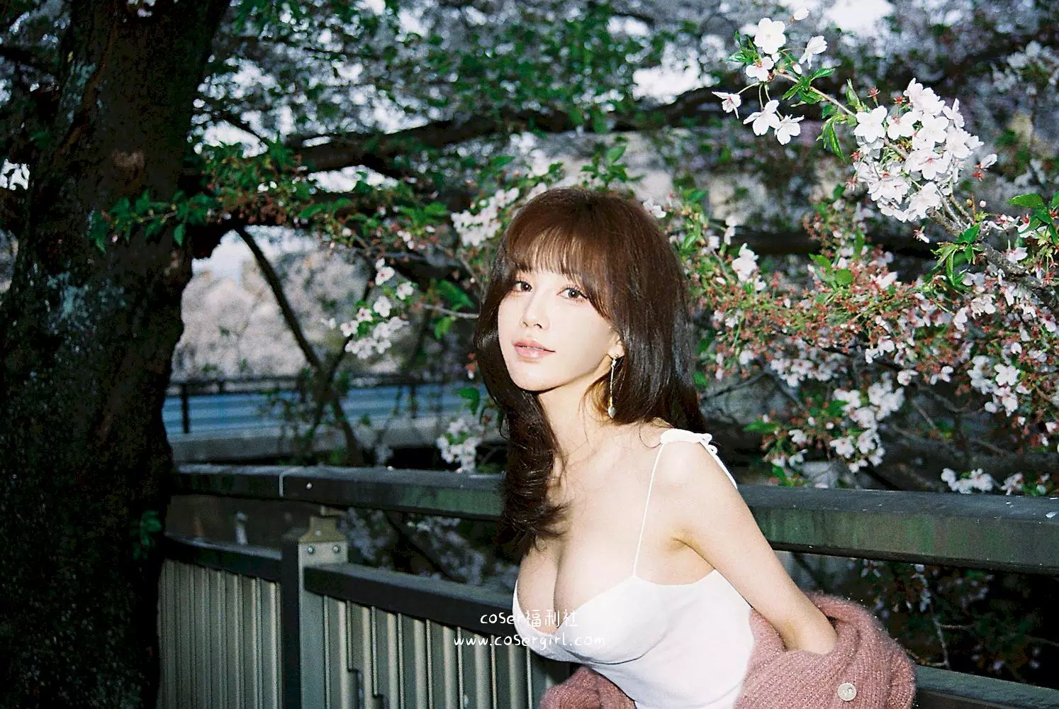 图片[2]-桜が満開：水淼Aqua的春日浪漫写真